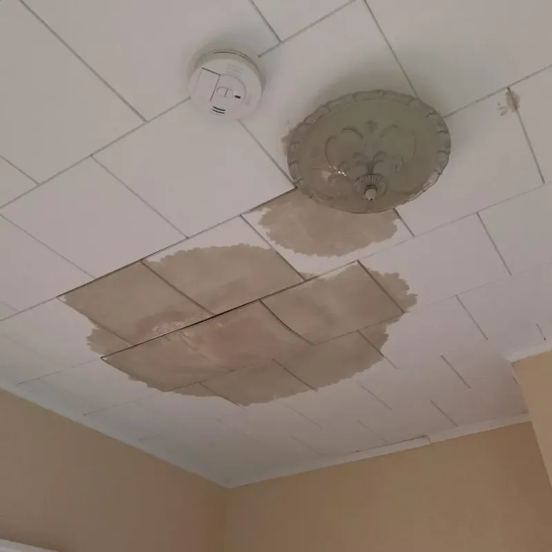 Ceiling Water Damage Repair in Webster Springs, WV