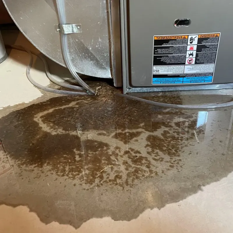 Pipe Burst and Leak Restoration in Webster Springs, WV
