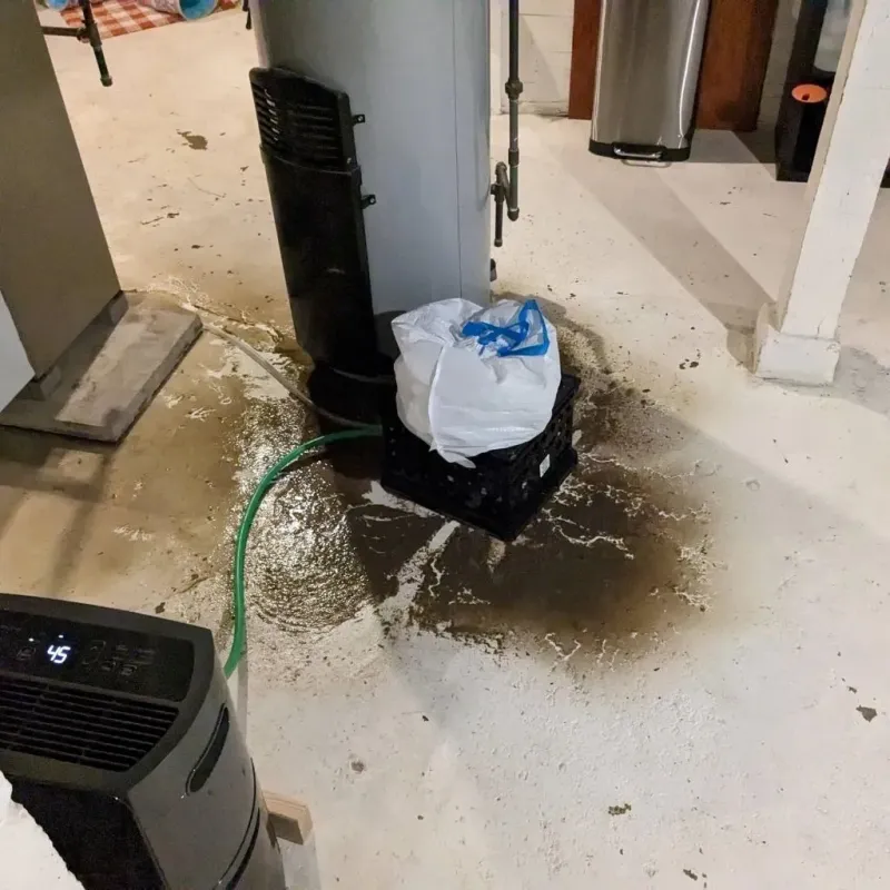 Sewage Backup Cleanup Service in Webster Springs, WV